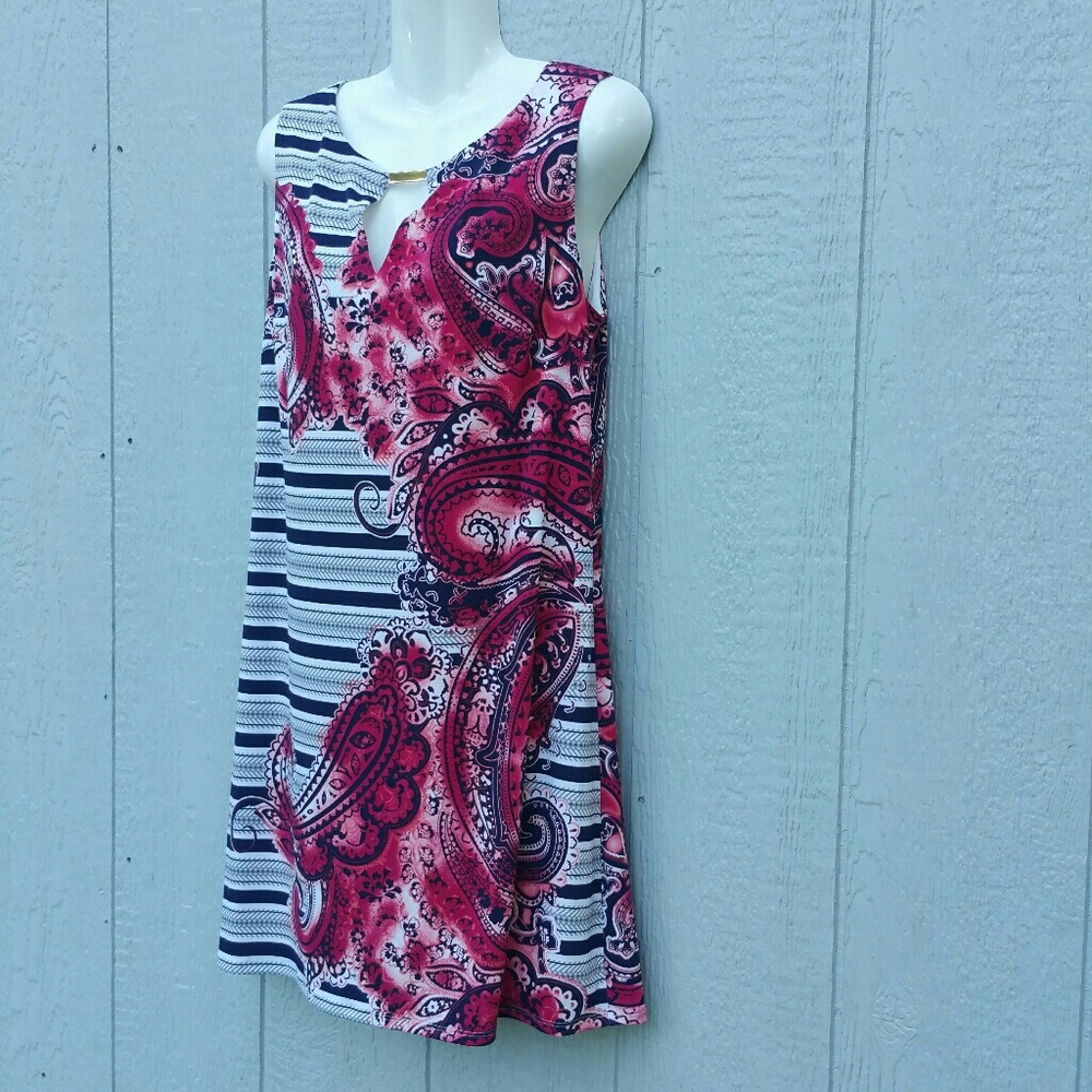 Beaufort Paisley Stripe Printed Dress